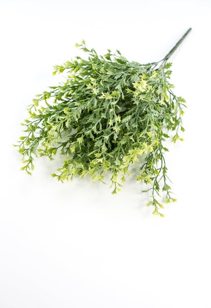 Kiwi greenery bush - Greenery Market26952