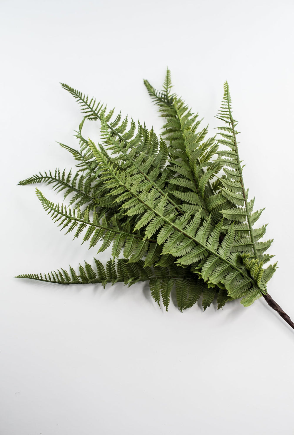 Lace Fern Bush - Soft Touch - Greenery Market28304