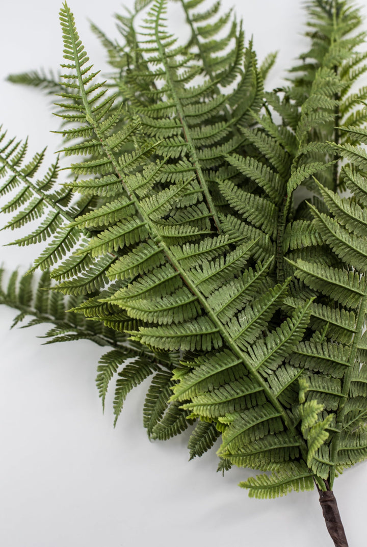 Lace Fern Bush - Soft Touch - Greenery Market28304