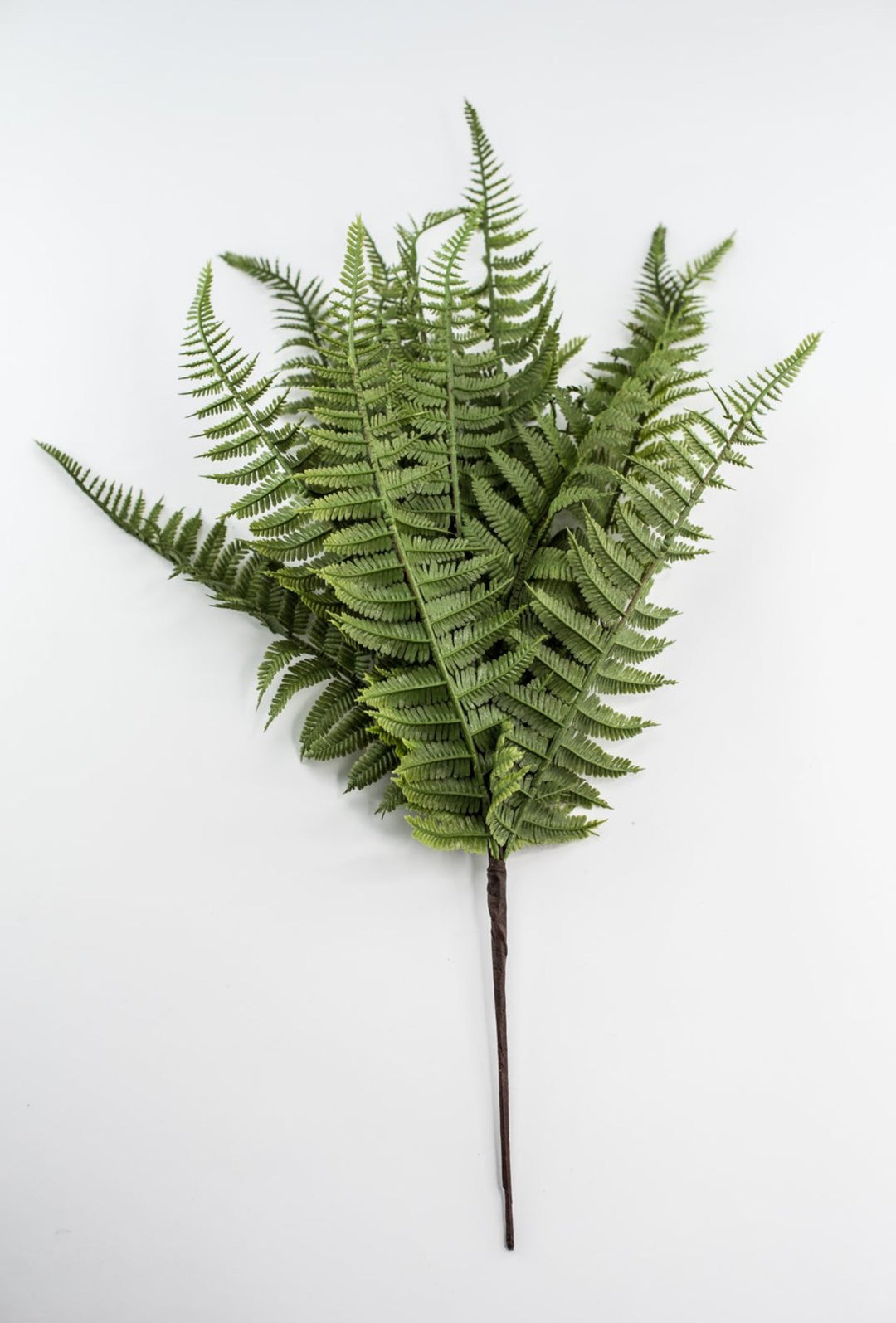 Lace Fern Bush - Soft Touch - Greenery Market28304