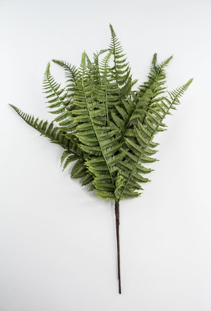 Lace Fern Bush - Soft Touch - Greenery Market28304