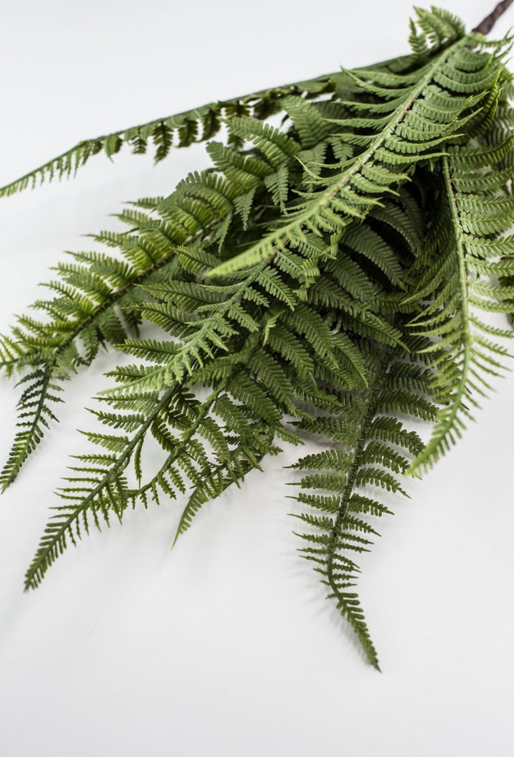 Lace Fern Bush - Soft Touch - Greenery Market28304