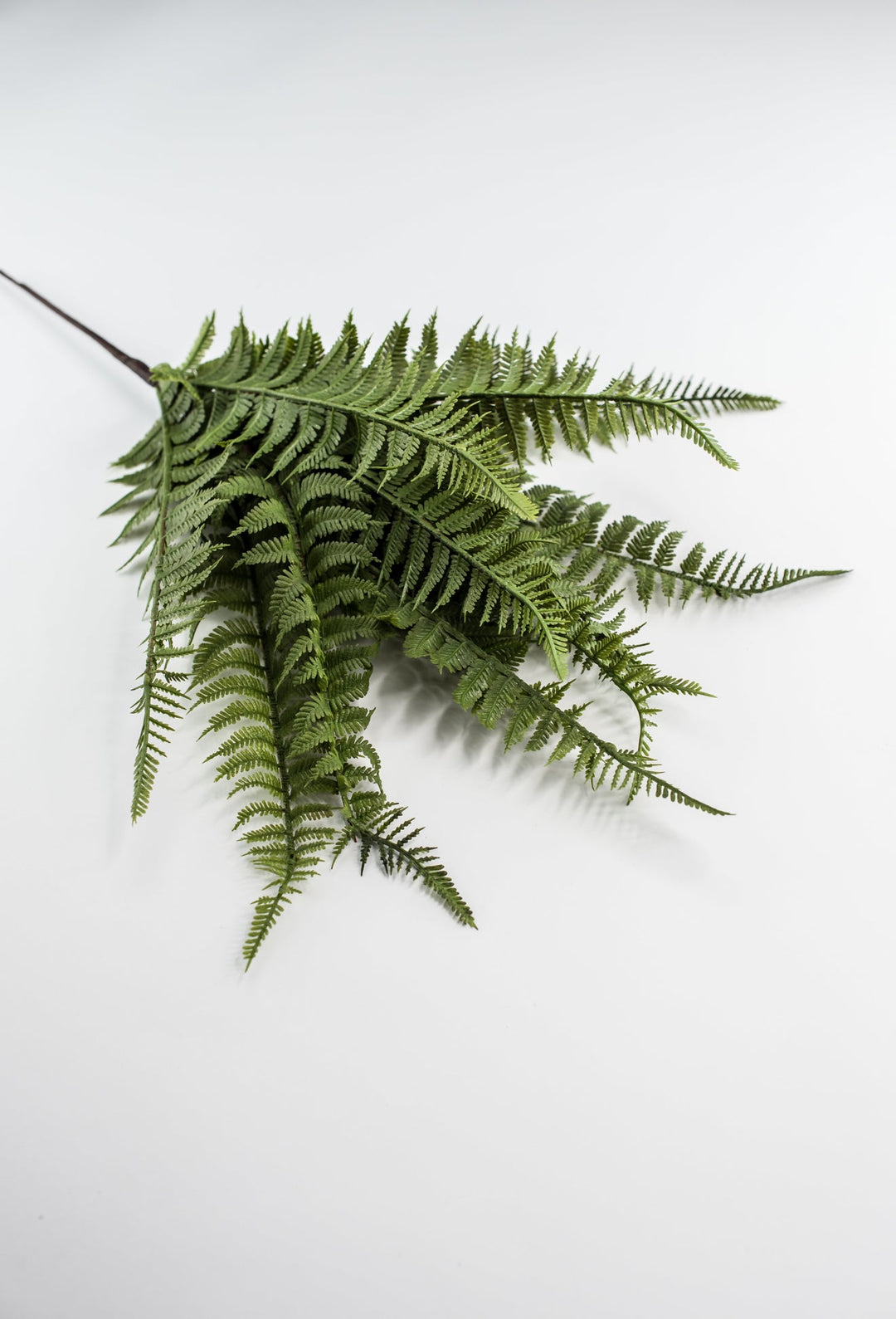 Lace Fern Bush - Soft Touch - Greenery Market28304