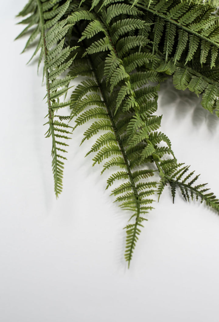 Lace Fern Bush - Soft Touch - Greenery Market28304
