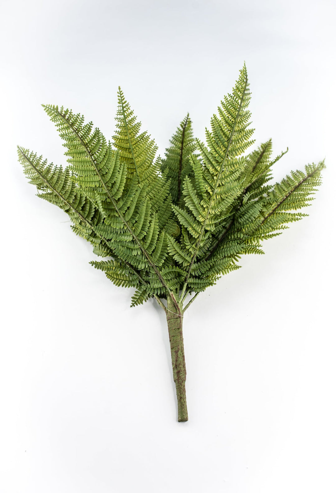 Large Fern bush green - 22” - Greenery Marketgreenery2320157VG