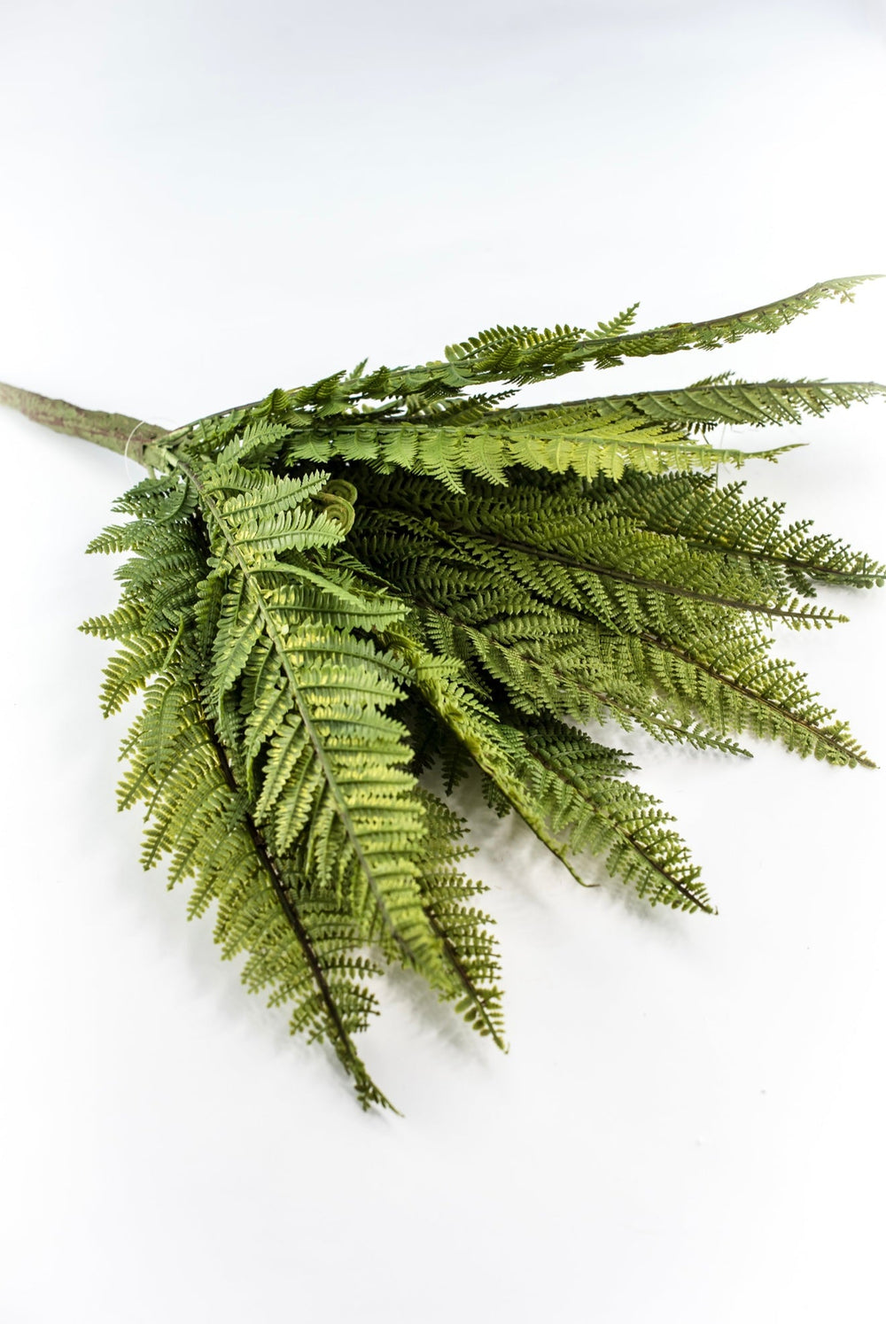 Large Fern bush green - 22” - Greenery Marketgreenery2320157VG