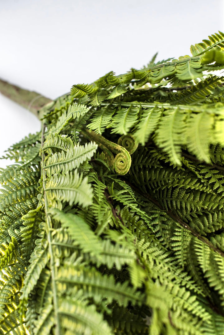 Large Fern bush green - 22” - Greenery Marketgreenery2320157VG
