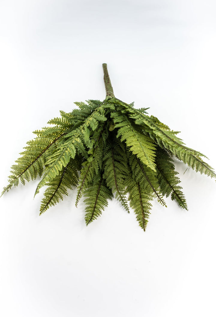 Large Fern bush green - 22” - Greenery Marketgreenery2320157VG