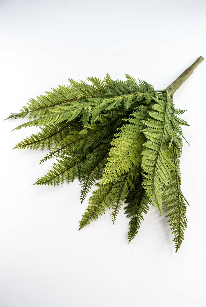 Large Fern bush green - 22” - Greenery Marketgreenery2320157VG