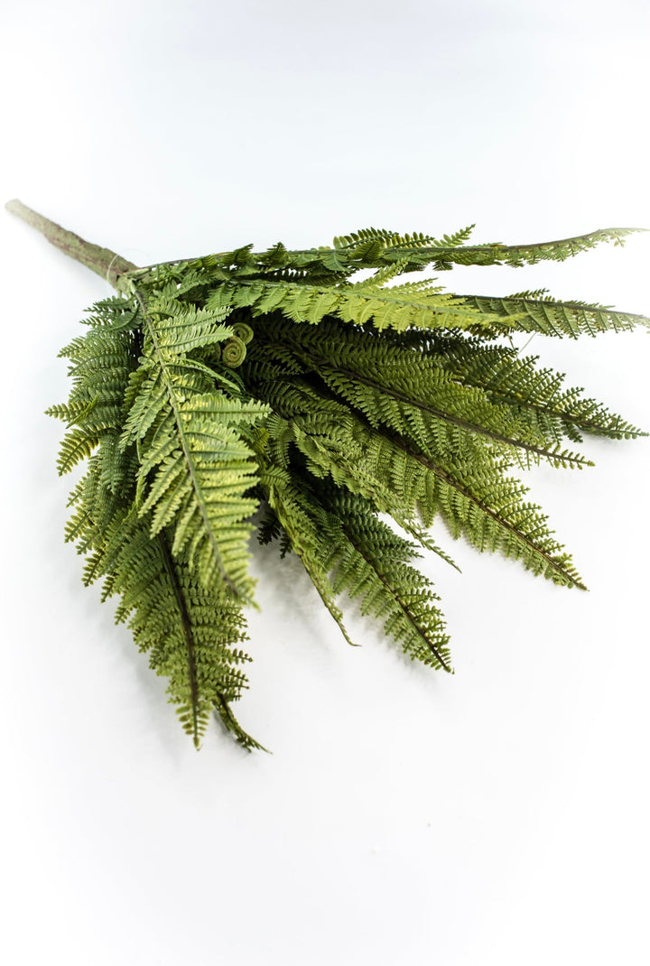 Large Fern bush green - 22” - Greenery Marketgreenery2320157VG