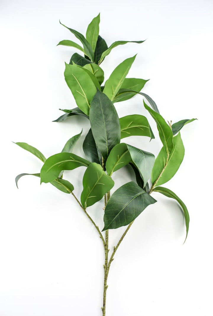 Laurel leaf spray - Greenery MarketArtificial Flora231863