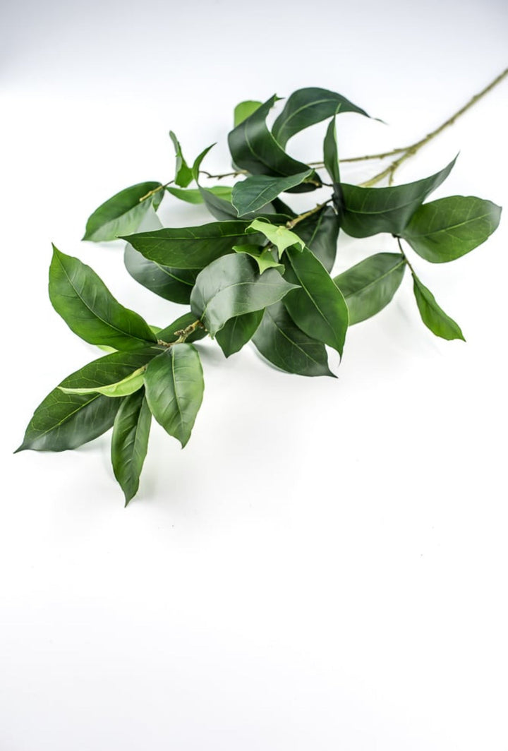 Laurel leaf spray - Greenery MarketArtificial Flora231863