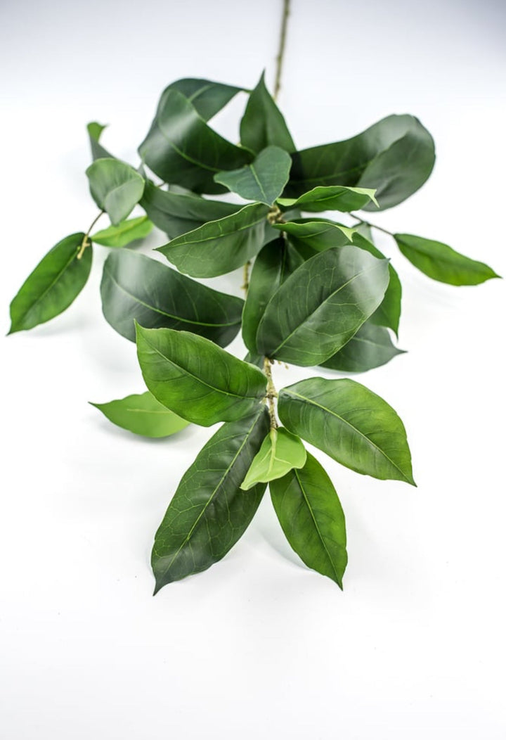 Laurel leaf spray - Greenery MarketArtificial Flora231863