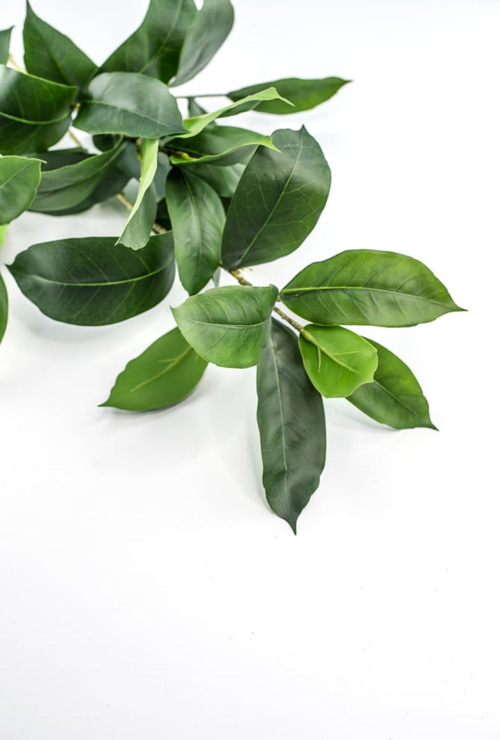 Laurel leaf spray - Greenery MarketArtificial Flora231863