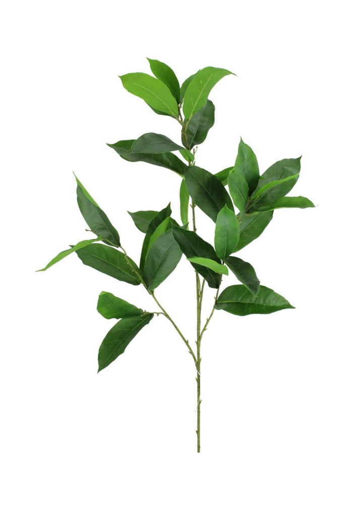 Laurel leaf spray - Greenery MarketArtificial Flora231863