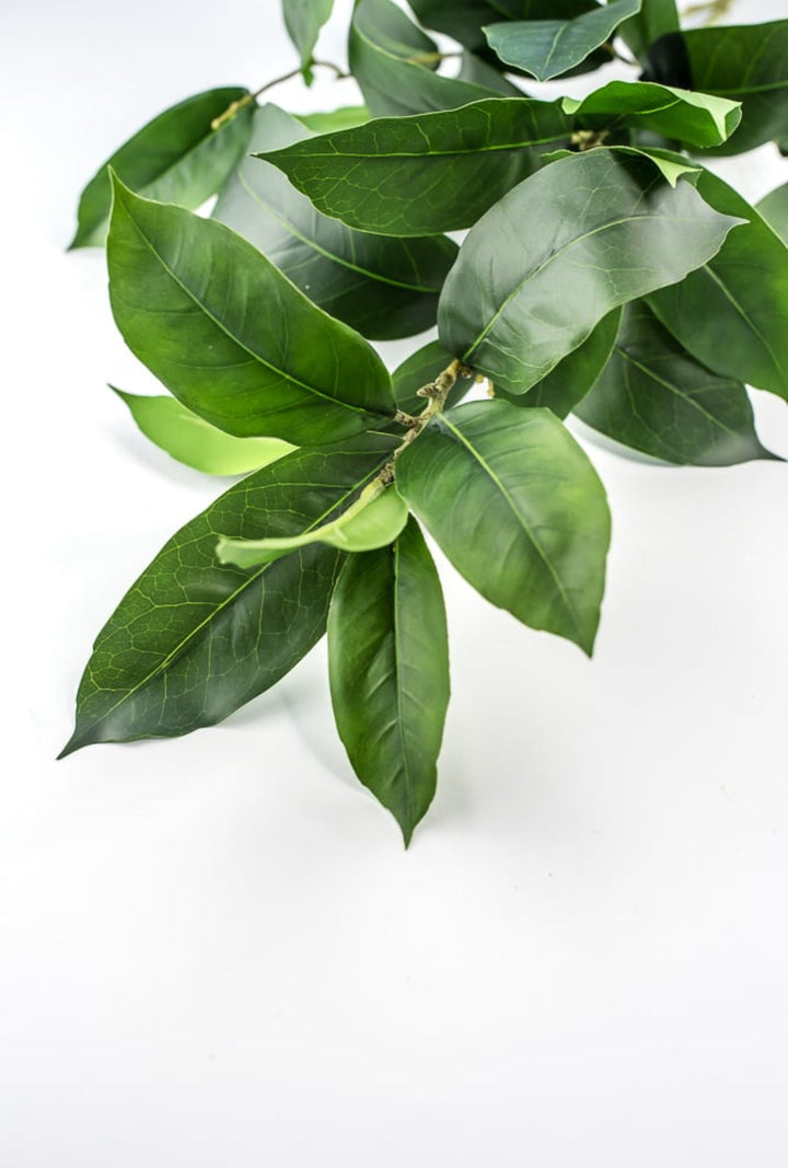 Laurel leaf spray - Greenery MarketArtificial Flora231863