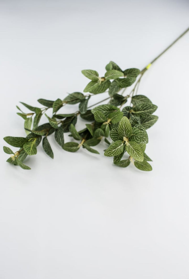 Laurel leaf variegated spray - Greenery MarketArtificial Flora13580GN