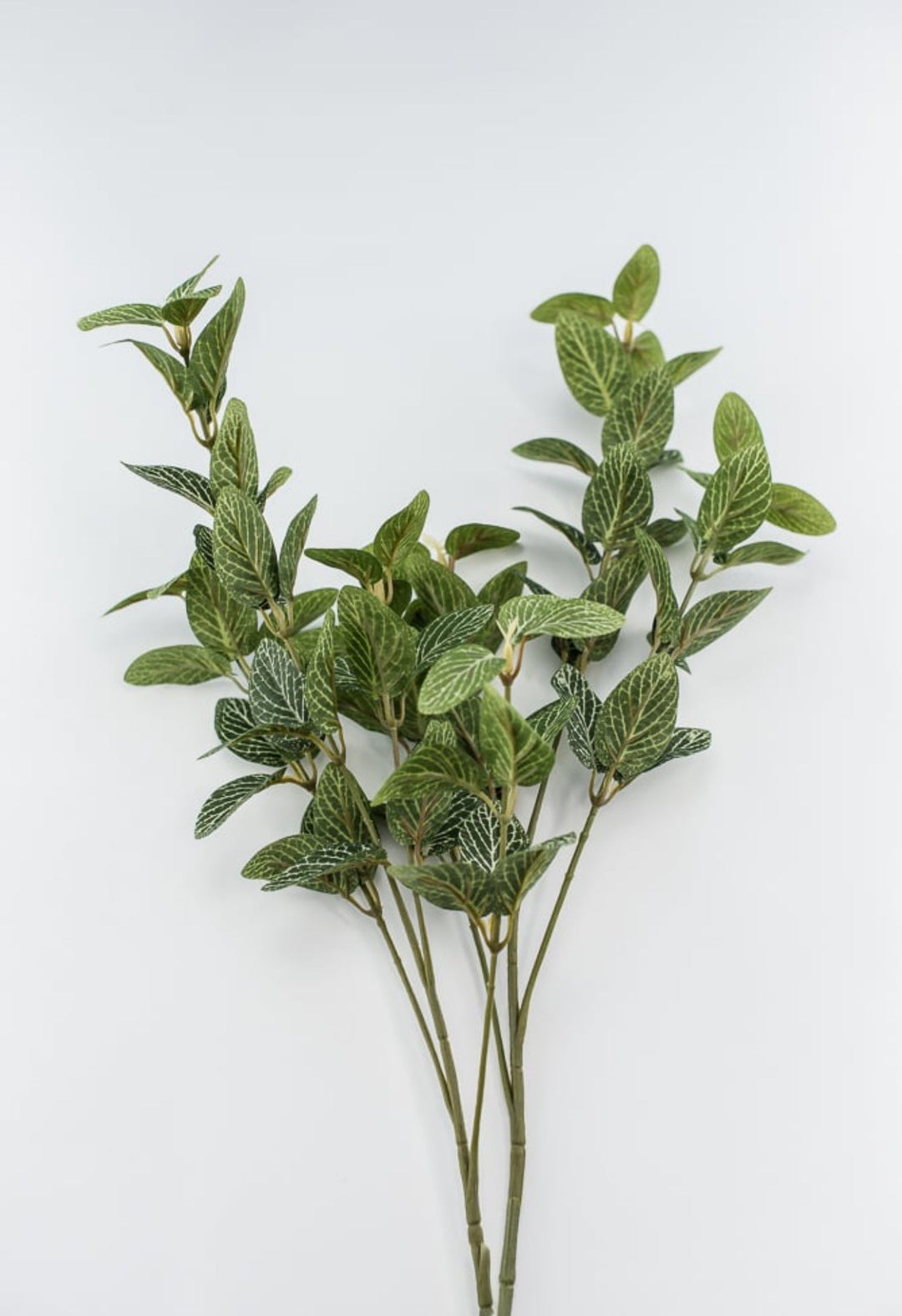 Laurel leaf variegated spray - Greenery MarketArtificial Flora13580GN