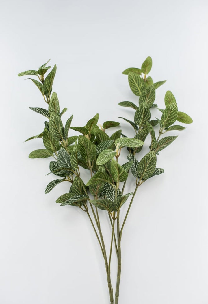 Laurel leaf variegated spray - Greenery MarketArtificial Flora13580GN