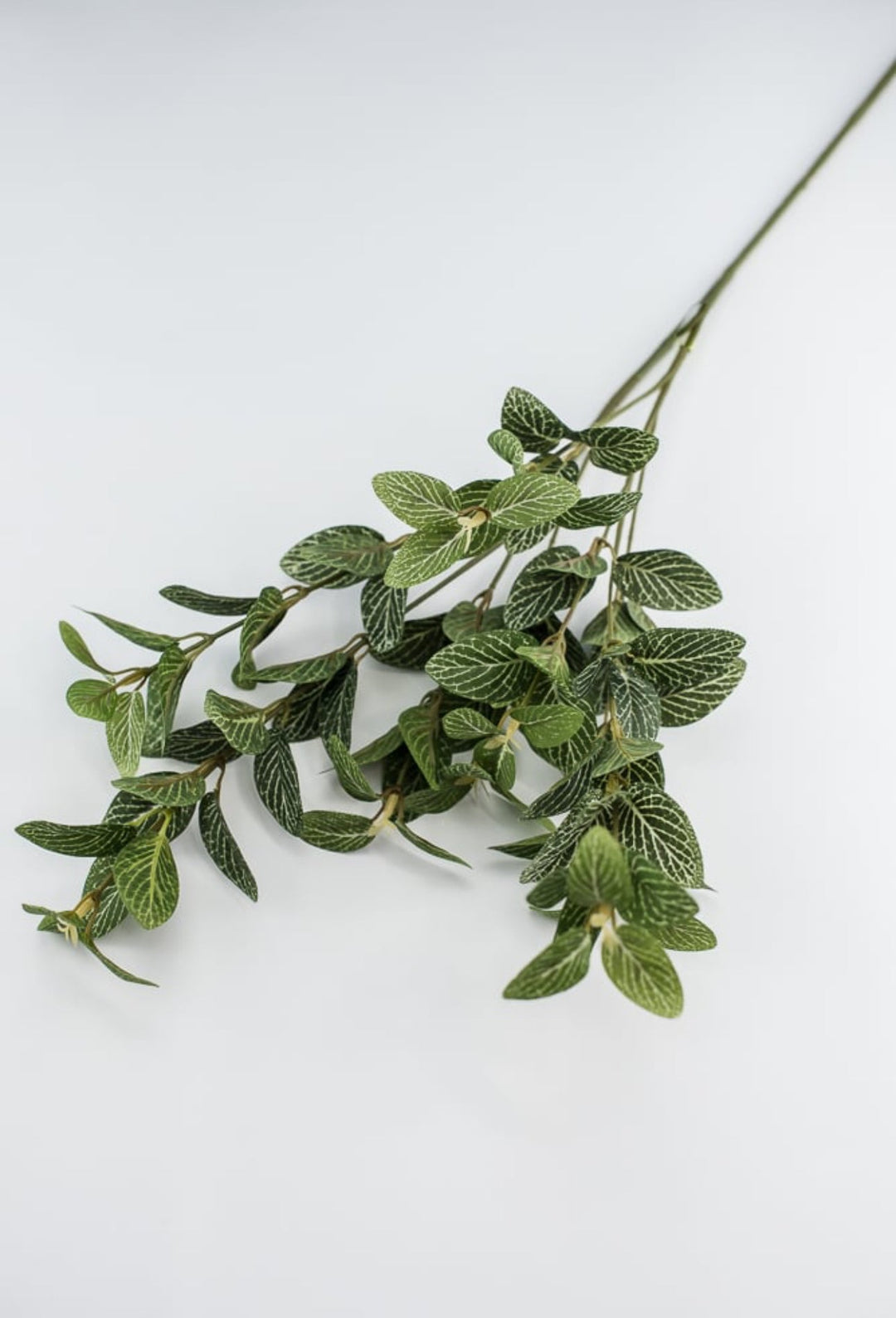 Laurel leaf variegated spray - Greenery MarketArtificial Flora13580GN