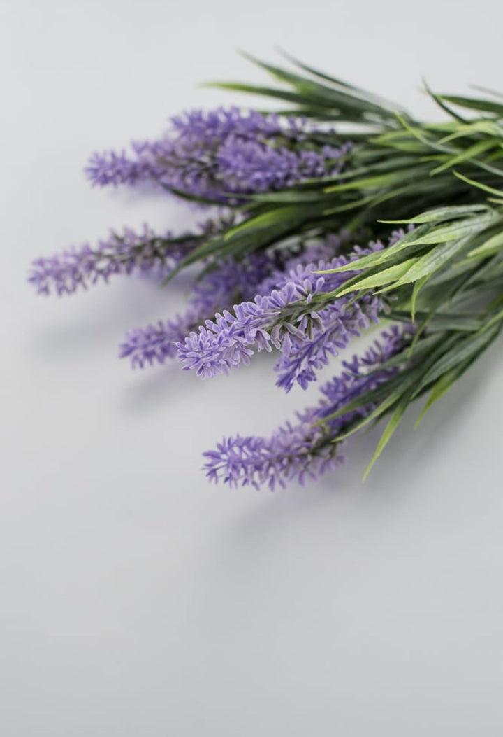 Lavender bush - lavender purple - Greenery Market26792