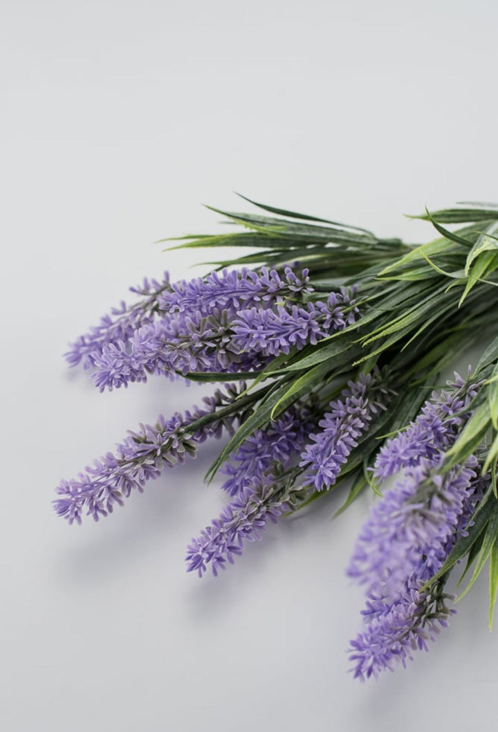 Lavender bush - lavender purple - Greenery Market26792