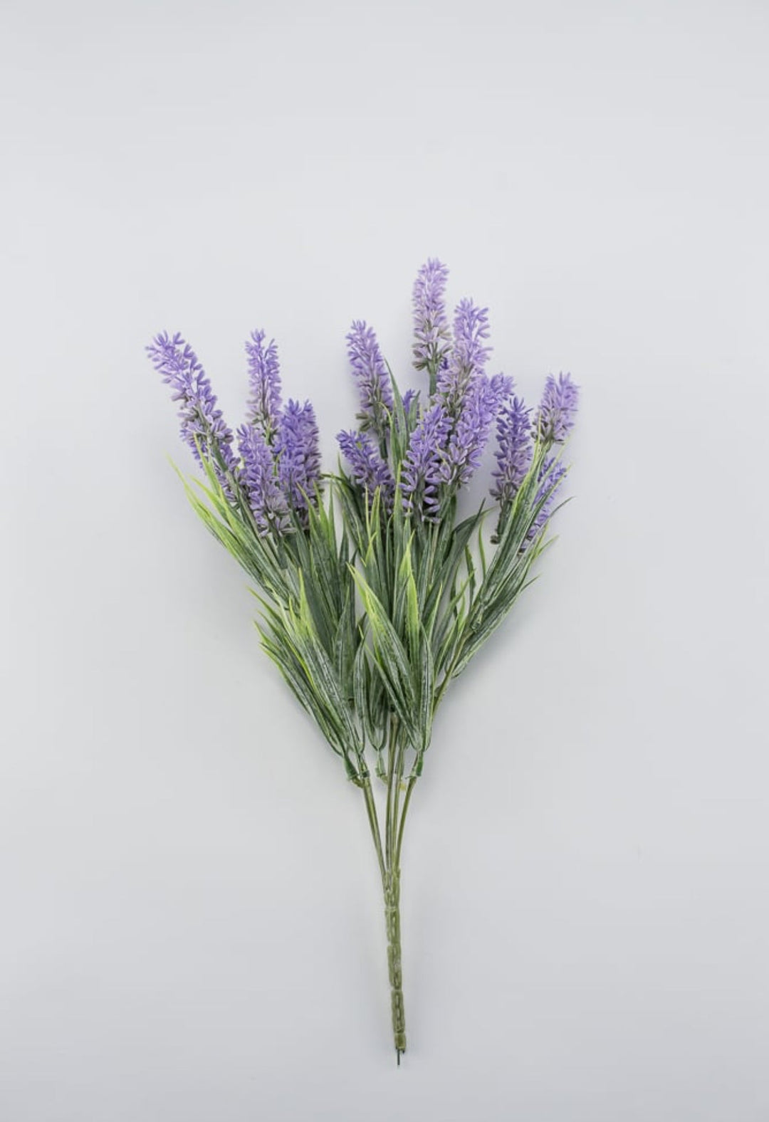 Lavender bush - lavender purple - Greenery Market26792