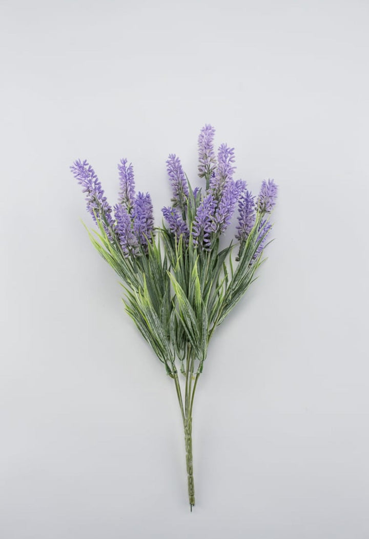 Lavender bush - lavender purple - Greenery Market26792