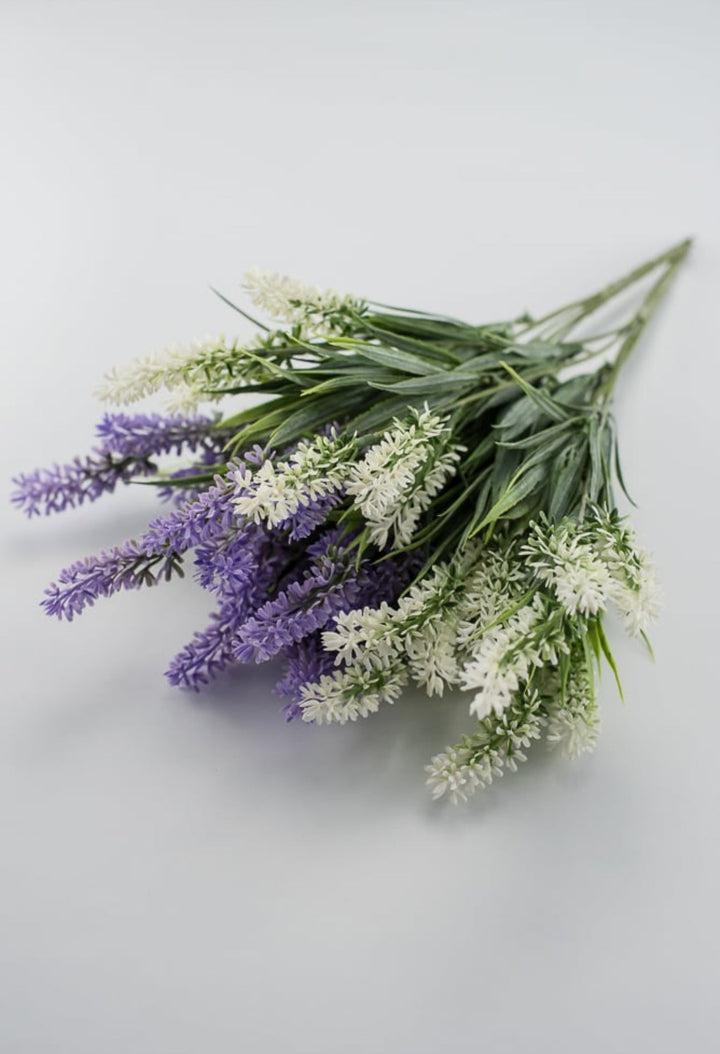 Lavender bush - lavender purple - Greenery Market26792