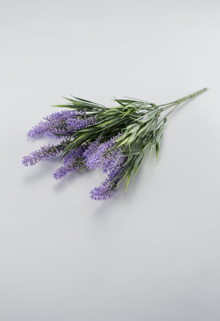 Lavender bush - lavender purple - Greenery Market26792