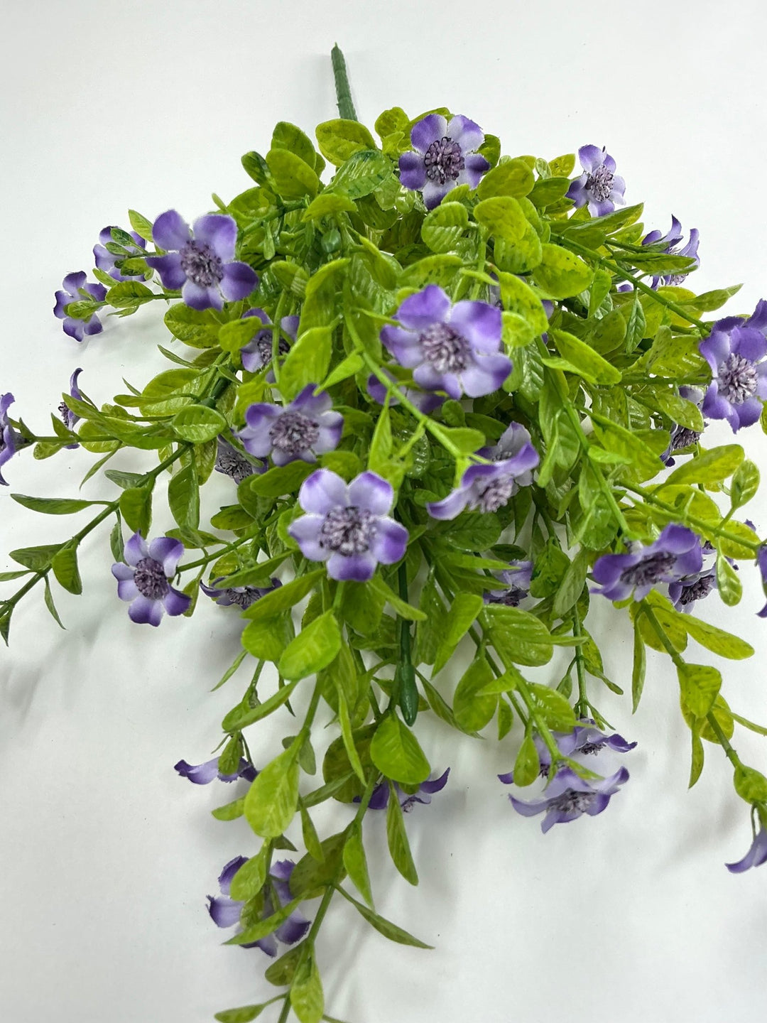 Lavender filler flower bush - Greenery Market82396 - LV