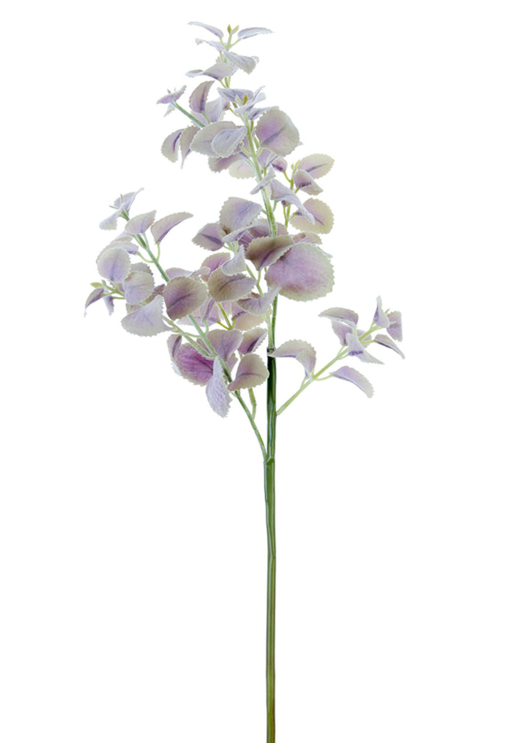 Lavender leaf spray - Greenery Marketgreenery2310212LV