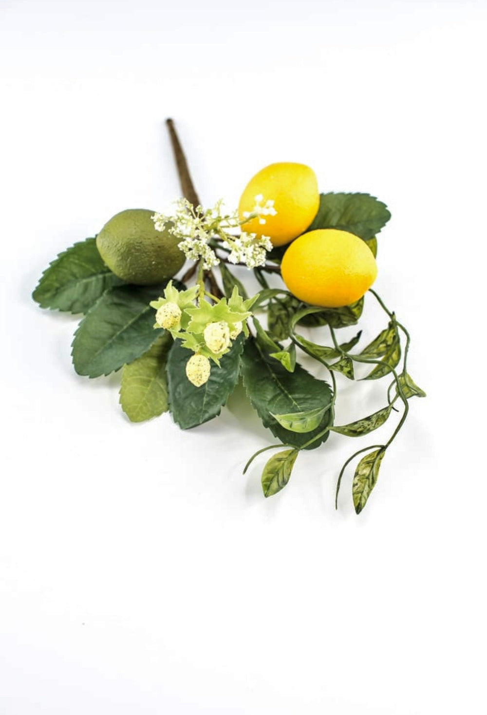 Lemon and lime with greenery pick - Greenery MarketgreeneryMTF22857