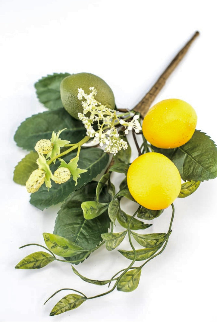 Lemon and lime with greenery pick - Greenery MarketgreeneryMTF22857