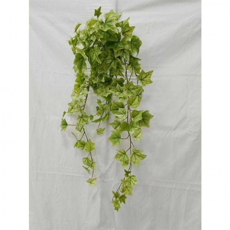 Lemon Lime Hanging Green Ivy Bush - 39” - Greenery MarketMTF24580