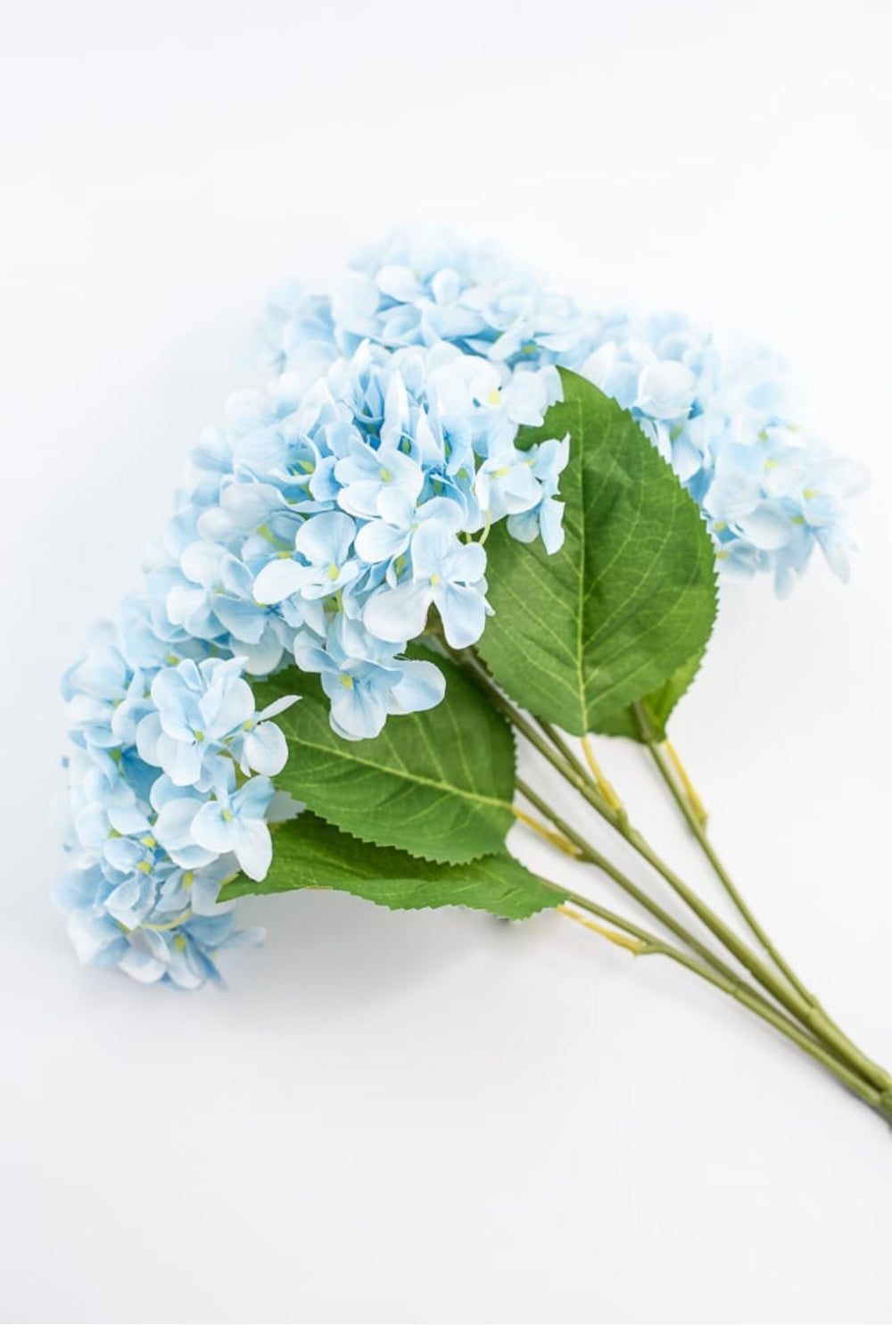 Light Blue Hydrangea Bush - Greenery Market261202