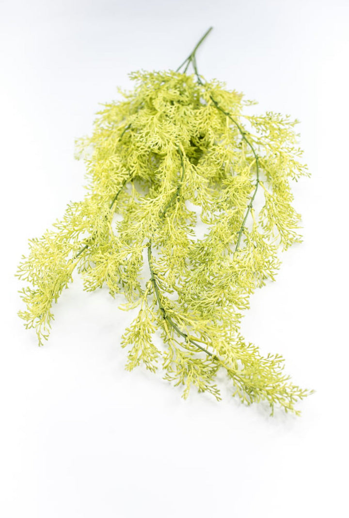 Light Green Coral Fern Hanging Bush - Greenery Market244540