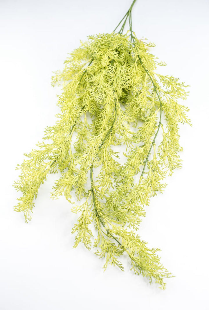 Light Green Coral Fern Hanging Bush - Greenery Market244540