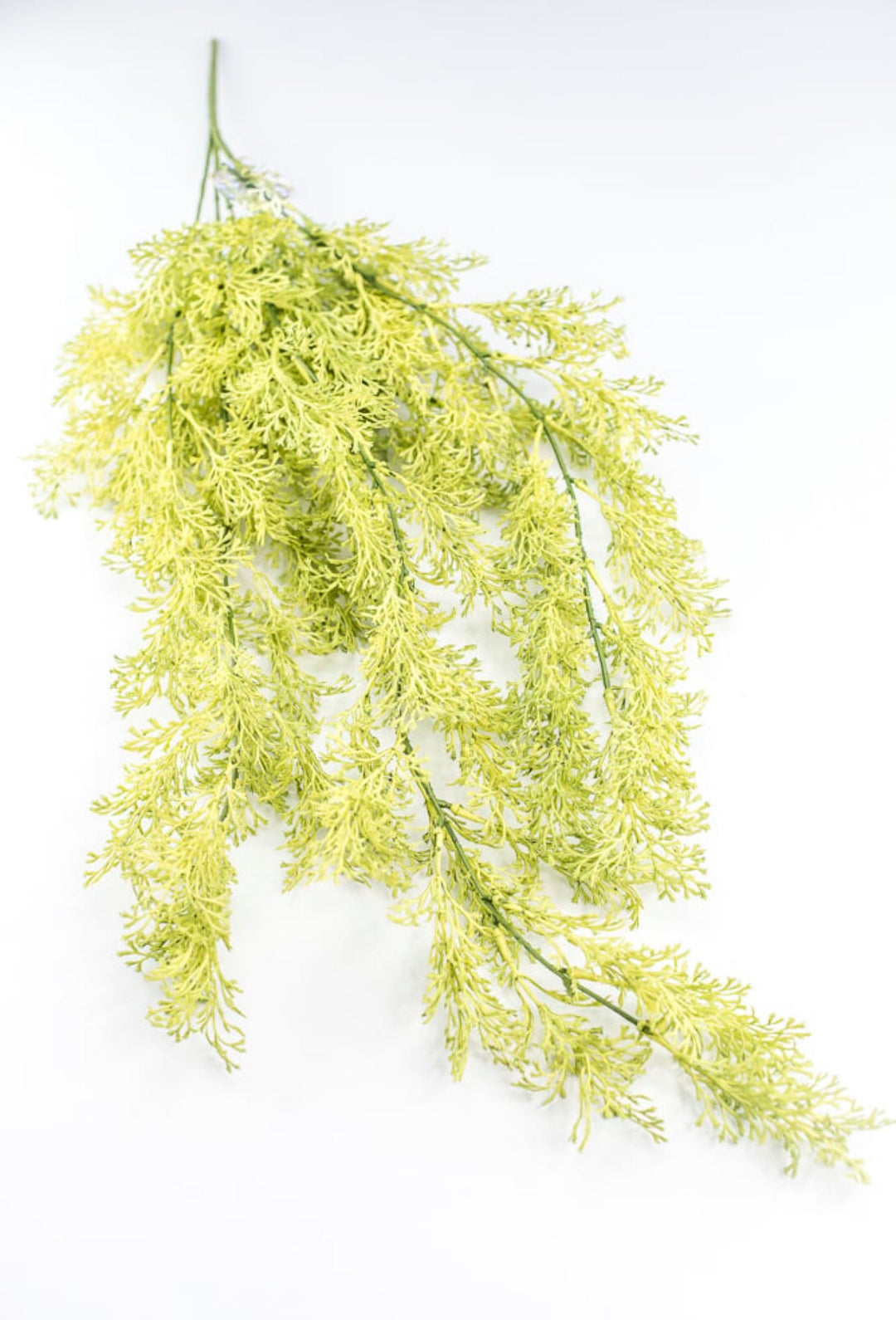 Light Green Coral Fern Hanging Bush - Greenery Market244540