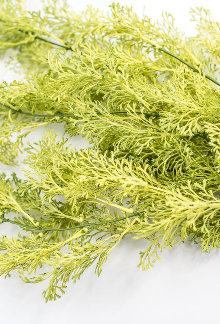 Light Green Coral Fern Hanging Bush - Greenery Market244540