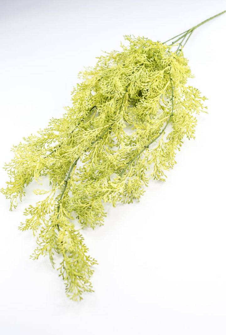 Light Green Coral Fern Hanging Bush - Greenery Market244540