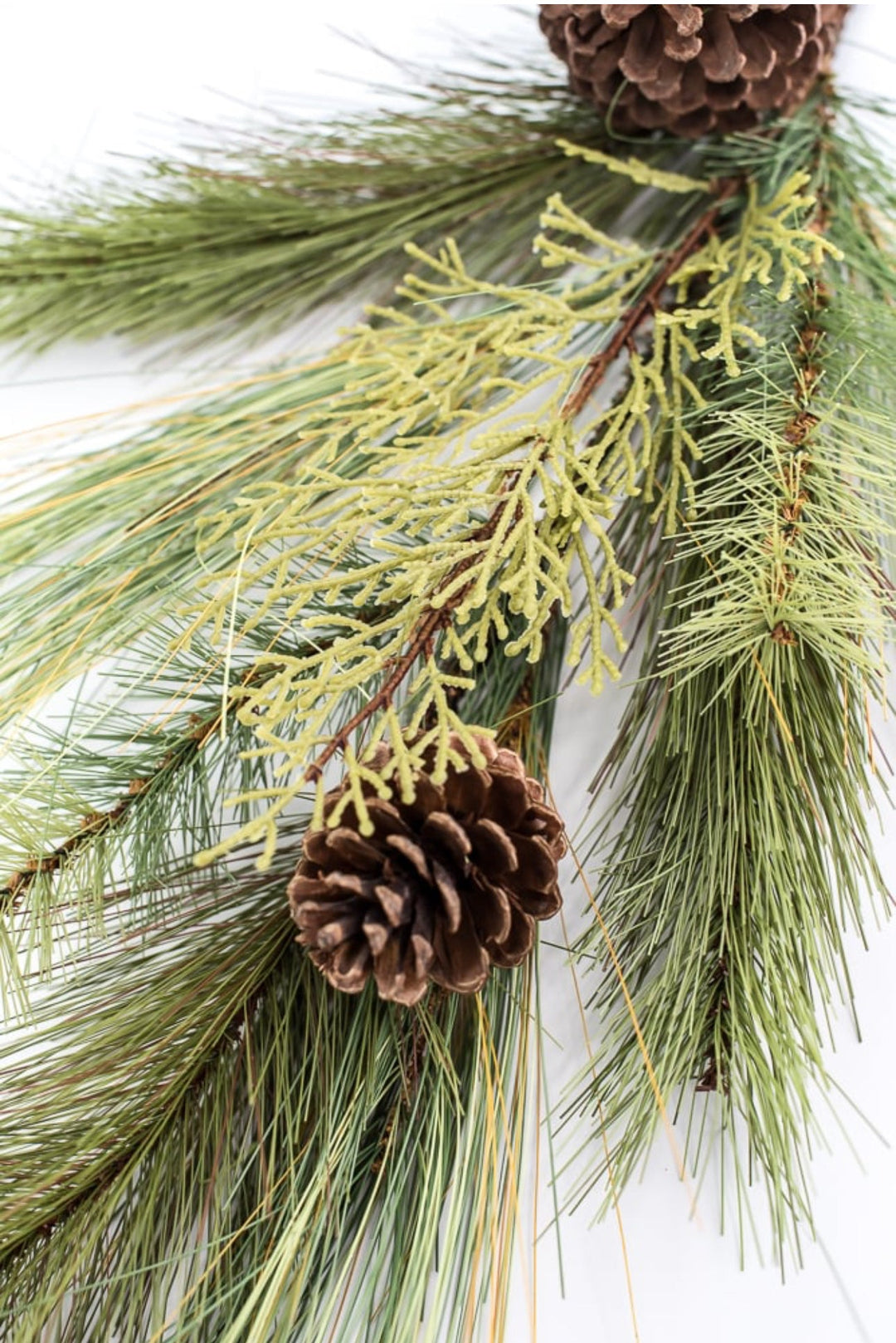 Long needle, mixed pine spray - Greenery Marketgreenery27988