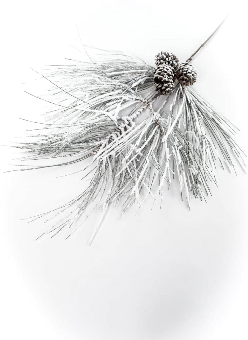 Long needle pine spray with snow - Greenery MarketX1799