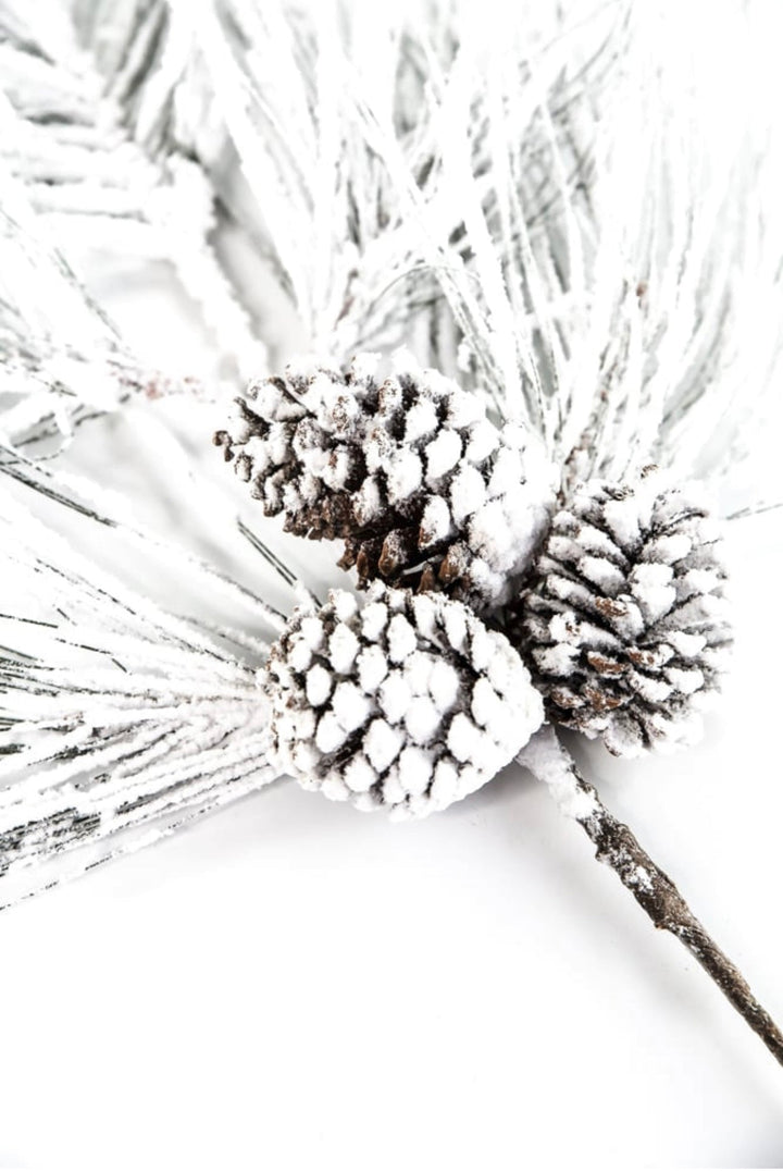 Long needle pine spray with snow - Greenery MarketX1799