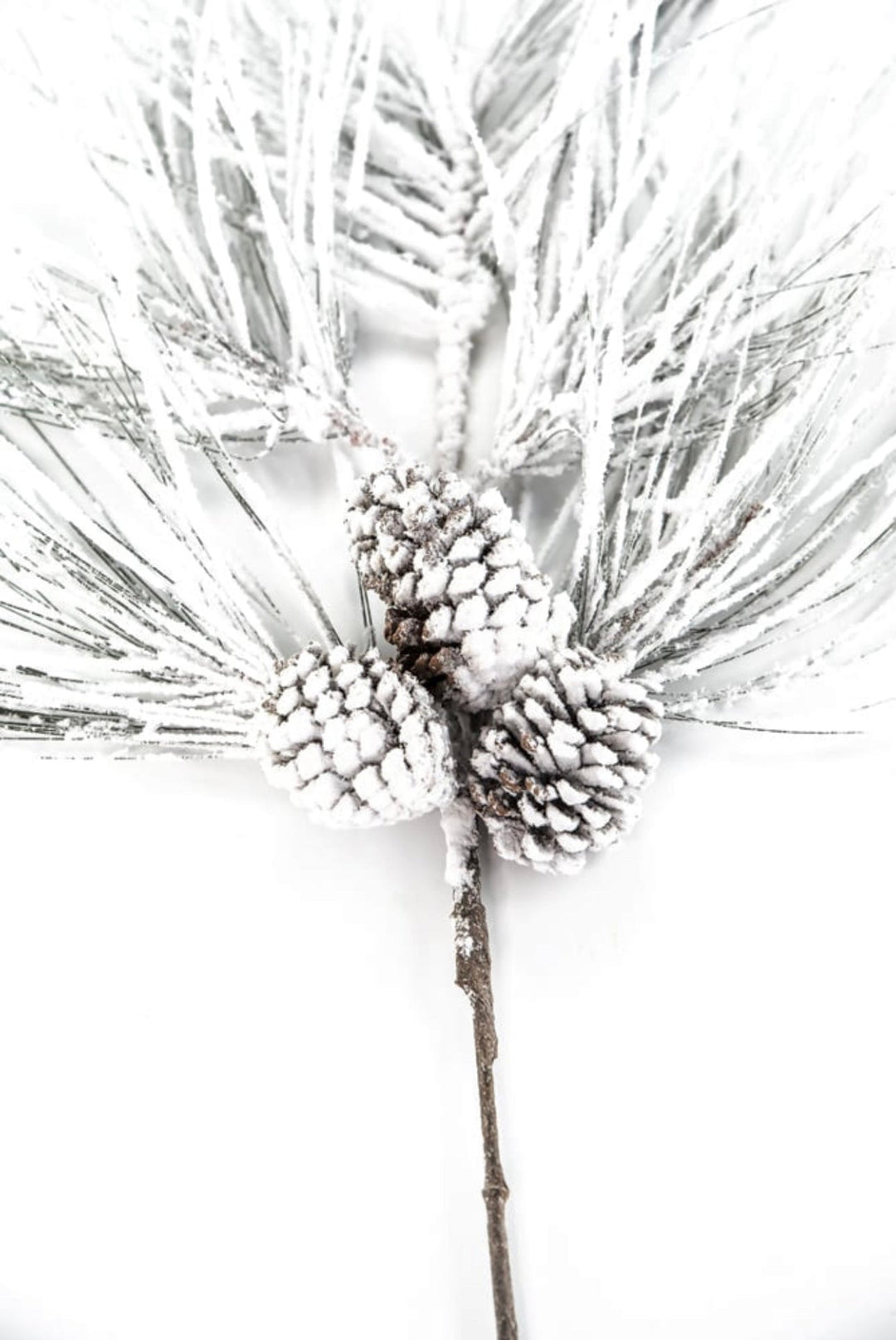 Long needle pine spray with snow - Greenery MarketX1799