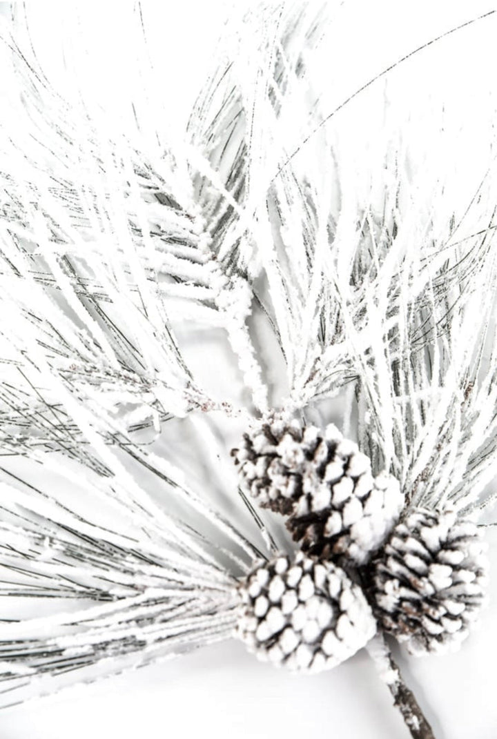 Long needle pine spray with snow - Greenery MarketX1799