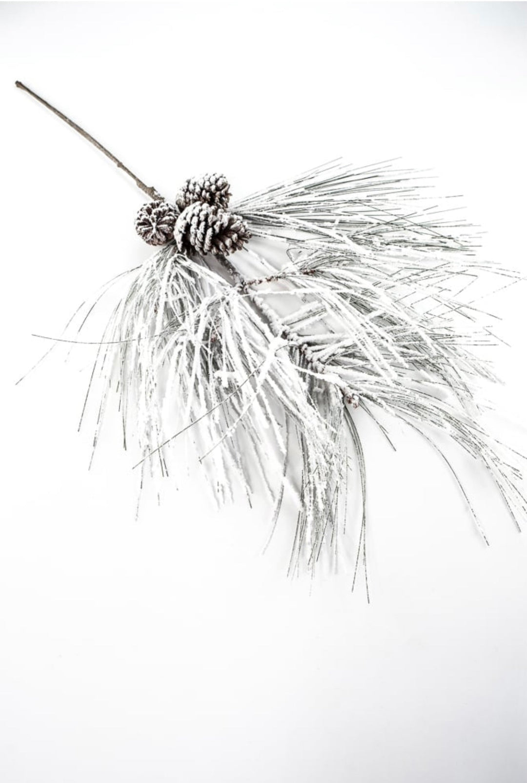 Long needle pine spray with snow - Greenery MarketX1799