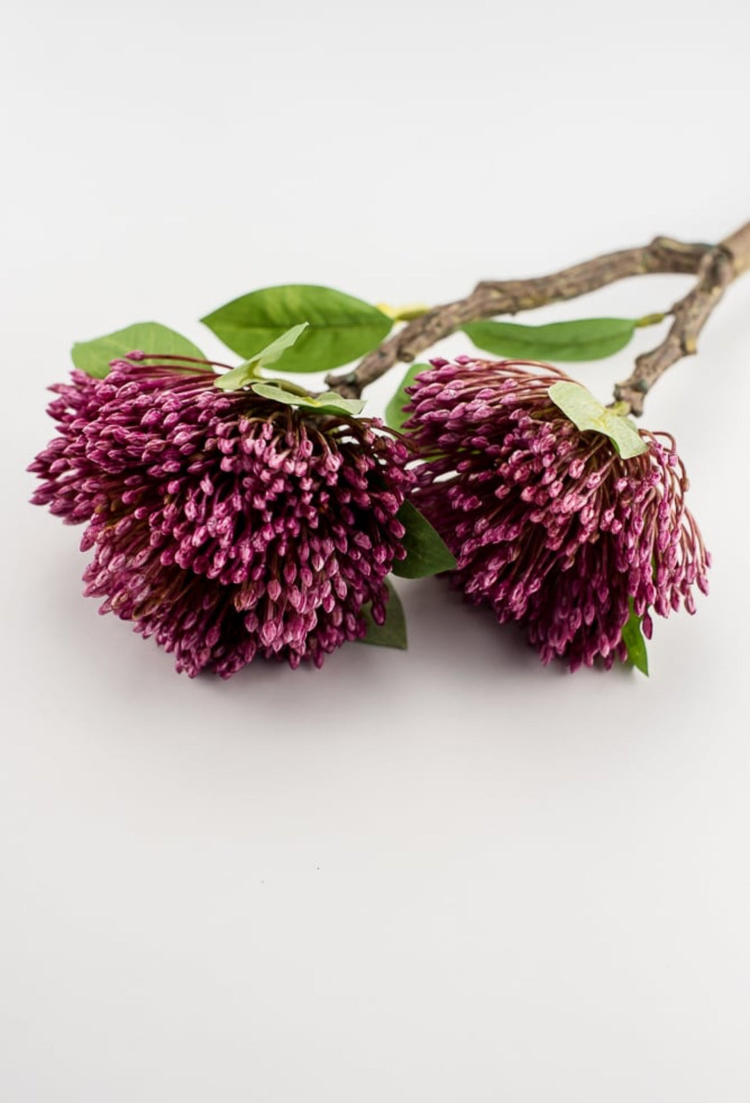 Magenta pink Spike flower spray - Greenery Market2290059FU