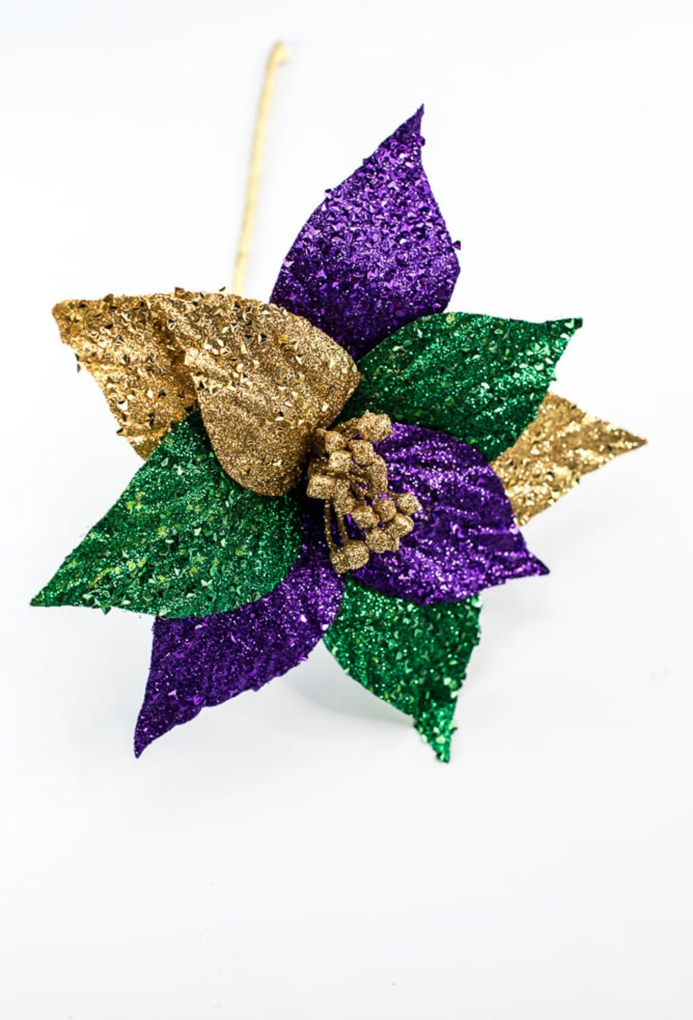 Mardi Gras poinsettia with glitter - Greenery MarketPicksHG3268