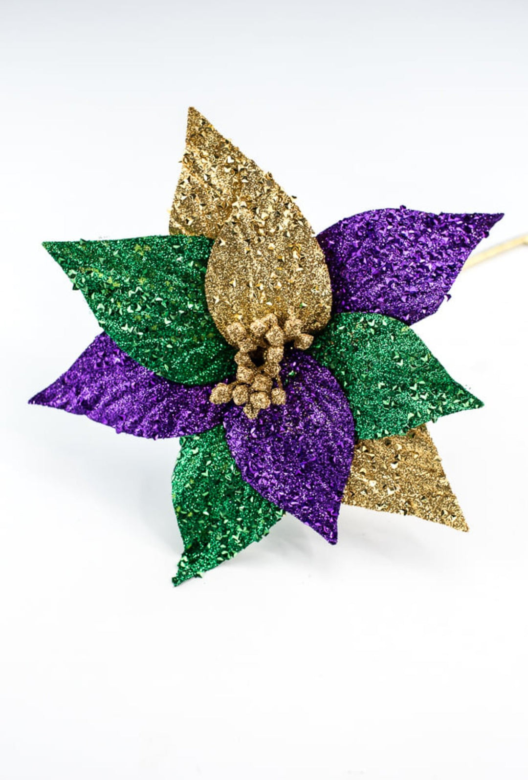 Mardi Gras poinsettia with glitter - Greenery MarketPicksHG3268